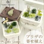 キッチンガーデン プリザーブドフラワー インテリアグリーン 観葉植物 インテリア 雑貨 おしゃれ 母の日 ギフト 誕生日 プレゼント 女性 寄せ植え