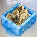 殻付きカキ 殻付牡蠣 カキ 生鮮 加熱用 宮城県産 三陸産 100K入り
