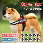 [ название inserting возможно ]* собака Harness имя шлейка одиночный наименование товара inserting initial простой оборудован .. обивка предотвращение выпадение нет маленький размер собака средний собака большой собака симпатичный прогулка выход 