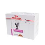 ロイヤルカナン 猫用 腎臓サポートフィッシュ パウチ 85g ロイヤルカナン 猫用 腎臓サポートフィッシュ パウチ 85g