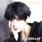  парик Short парик медицинская помощь для парик мужской природа натуральный парик черный чёрный . парик жаростойкий парик медицинская помощь для парик мужской мужчина оборудование волосы сеть имеется 