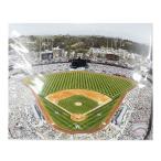 MLB ニューヨーク・ヤンキース Los Angeles Dodgers, 2010 8x10 フォト 写真 Photo File