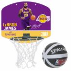 NBA レブロン・ジェームズ ロサンゼルス・レイカーズ マイクロミニボード　レブロン　ジェームス SPALDING