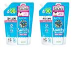 【まとめ買い】サラヤ SARAYA ヤシノミ 洗たく洗剤 濃縮タイプ つめかえ用 900mL 無添加 × 2個