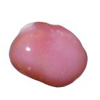 コンクパール1.98ctルース希少...