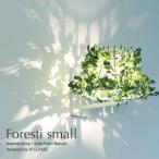 フォレスティスモールブラケットライ...
