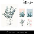 kortkartellet POSTERS Botanica ポスターA3 mmisオススメ