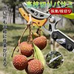  завод отгрузка обрезка на высоком месте basami1.3~2m 3m 4m эластичный тип высота ветка порез . пила имеется эластичный тип обрезка . высота ветка . высота ветка для SK5 садовые ножницы futoshi ветка порез . ветка порез . ветка разделение обрезка на высоком месте . универсальный ножницы 