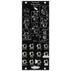 Noise Engineering/Cursus Iteritas Alia Black[. приобретенный товар ][WTG]
