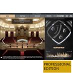 Inspired Acoustics/Inspirata PROFESSIONAL Edition【〜8/25 期間限定特価キャンペーン】【オンライン納品】【在庫あり】