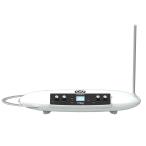 MOOG/THEREMINI【お取り寄せ商品】【納期未定】