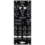 Noise Engineering/Yester Versio Black[. приобретенный товар ]
