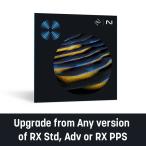 iZotope/RX 11 Standard: Upgrade from any previou