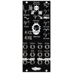 Noise Engineering/Ruina Versio Black[ ограниченное количество специальная цена акция ][WTG][ наличие есть ]