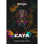 UJAM/Beatmaker KAYA【オンライン納品】