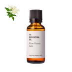 P5倍 エルダーフラワー・アブソリュ