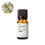 P5倍 ボロニア・アブソリュート・野