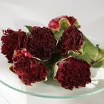  гвоздика |20g сушеная травы цветок экстракт экстракт уход за кожей уход за волосами ручная работа cosme сухой ручная работа ароматическая смесь саше 