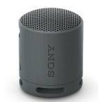SRSXB100B Sony BC беспроводной портативный динамик черный SRS-XB100 BC