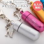  домашнее животное .. Capsule название inserting печать брелок для ключа иен стойка модель очарование есть погребальная урна ... пепел минут . memorial форма видеть . inserting .. aluminium стекло труба есть 