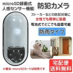防犯カメラ microSD録画式 人感センサーカメラ 電池式 防犯対策 一人暮らし 女性 リーベックス REVEX SD1000 宅配便
