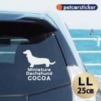 車 ステッカー 【 ミニチュアダック