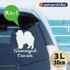 車 ステッカー 【 サモエド 】【3Ｌ