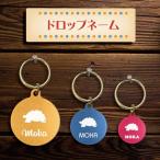 迷子札 【 インドホシガメ  】 ドロ