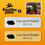 レプタイルズプレートSサイズケージ...
