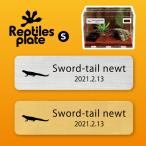 rep плитка z plate S размер [sili талон тритон ] клетка аквариум rep плитка box клетка для насекомых для . доска название . именная табличка Pal dalium террариум 