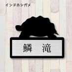 表札【インドホシガメ】 Ｍ かわい
