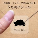 うちの子 シール 【 インドホシガメ