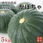  pesticide chemistry fertilizer un- use * Kagoshima prefecture production pumpkin (.....,...., glace,......, other )5kg[ limitation 50 box free shipping ]