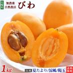  Nagasaki prefecture production pesticide * chemistry fertilizer un- use loquat ( summer ...*. manner *. sphere. any )1kg[ preeminence goods ] nature agriculture law [ free shipping ] less pesticide * cool flight 