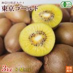  иметь машина киви фрукты Tokyo Gold 3kg S~M размер Kanagawa префектура Odawara производство [ бесплатная доставка органический иметь машина JAS]