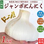 長崎県産 自然農法「ジャンボにんにく」１ｋｇ【送料無料・数量限定品】生ニンニク　エレファントガーリック