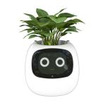 ショッピングスマートホームデバイス AMPULLA Ivy-スマートプランター、果てしない楽しさ70種類を超える豊富な表現方法、7つのスマートセンサーと人工知能チップが植物の栽