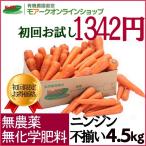 ジュース用ニンジン 無農薬、無化学肥料栽培 「お試し!ジュース用ニンジン・4.5kg 」
