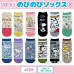  Snoopy носки 12 пар комплект женский Kids носки короткие носки 20-24cm комплект женский носки продажа комплектом 