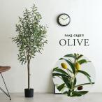 人工観葉植物 フェイクグリーン OLIVE(オリーブ) GRN-17 H152cm 人工植物 観葉植物 おしゃれ フェイク 造花 大型 グリーン オリーブの木 インテリア