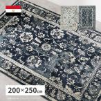 ホットカーペット 床暖房対応 カーペット ラグ ラグマット 絨毯 じゅうたん 長方形 3畳 おしゃれ エジプト製 200x250cm ウィルトンラグ KAMAL(カマル) 2色対応