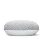 Google Nest Mini チョーク GA00638-JP
