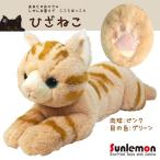 Yahoo! Yahoo!ショッピング(ヤフー ショッピング)送料無料　ぬいぐるみ ひざねこ 猫 アメリカンショートヘア アメショ ブラウン P-1812  Mサイズ 柔らかな素材 手触り抜群 サンレモン 宅配便配送