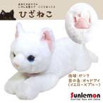 Yahoo! Yahoo!ショッピング(ヤフー ショッピング)送料無料　ぬいぐるみ ひざねこ 猫 オッドアイ ホワイト P-1832 Mサイズ 柔らかな素材 手触り抜群 サンレモン 宅配便配送