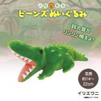 Yahoo! Yahoo!ショッピング(ヤフー ショッピング)ぬいぐるみ ビーンズ イリエワニ 8457 大陸散歩 動物園 アニマル 鈴 リンリンと音が鳴る 内藤デザイン 定形外郵便発送