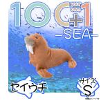 Yahoo! Yahoo!ショッピング(ヤフー ショッピング)ぬいぐるみ セイウチ SM204 1629 100+1 SEA 海に暮らす生き物たち 哺乳類 魚 Sサイズ 太洋産業貿易 宅配便配送