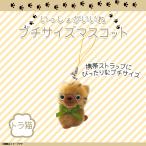 Yahoo! Yahoo!ショッピング(ヤフー ショッピング)いっしょがいいね ぬいぐるみ プチ マスコット 猫 1150  絵本作家 渡辺あきお ねこ ストラップ キーホルダー トラ 内藤デザイン 定形外郵便発送