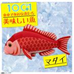 Yahoo! Yahoo!ショッピング(ヤフー ショッピング)ぬいぐるみ マダイ 真鯛 魚 HA014 0501 100+1 美味しい魚シリーズ 魚屋さん お寿司屋さん 海 釣り 太洋産業貿易 宅配便配送
