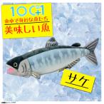 ぬいぐるみ サケ 鮭 魚 HA015 0518 100+1 美味しい魚シリーズ 魚屋さん お寿司屋さん 海 釣り 太洋産業貿易 宅配便配送