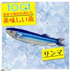 Yahoo! Yahoo!ショッピング(ヤフー ショッピング)ぬいぐるみ サンマ 秋刀魚 魚 HA017 0532 100+1 美味しい魚シリーズ 魚屋さん お寿司屋さん 海 釣り 太洋産業貿易 宅配便配送